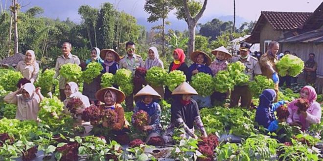 Pertanian Indonesia Untuk Rakyat Dan Petani Muda