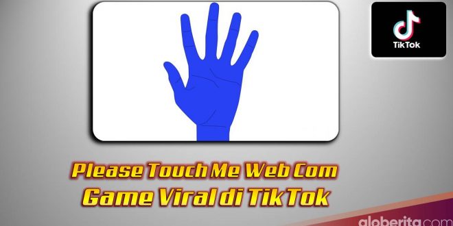 Please Touch Me Web Com, Game Viral di TikTok