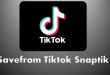 Savefrom Tiktok Snaptik Cara Download Video Tiktok Tanpa Watermark
