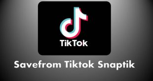 Savefrom Tiktok Snaptik Cara Download Video Tiktok Tanpa Watermark