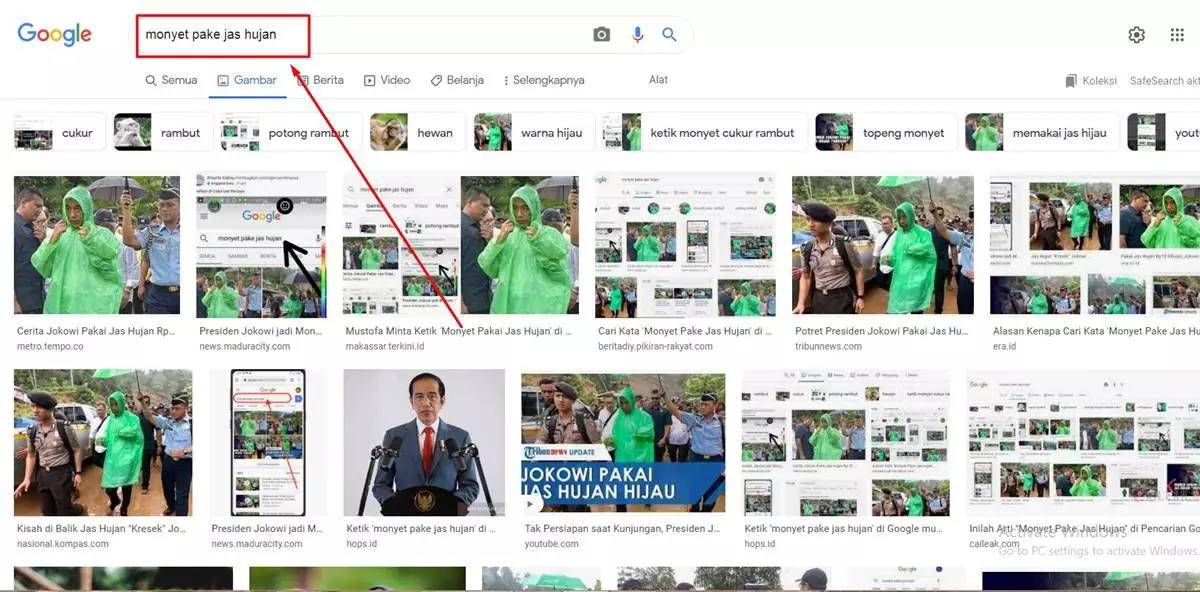 Jas hujan hijau monyet pake Presiden Jokowi