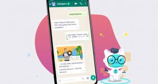 Nomor WA Roboguru Terbaru 2022 dan Cara Penggunaanya