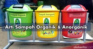 Arti Lengkap Sampah Organik Dan Anorganik