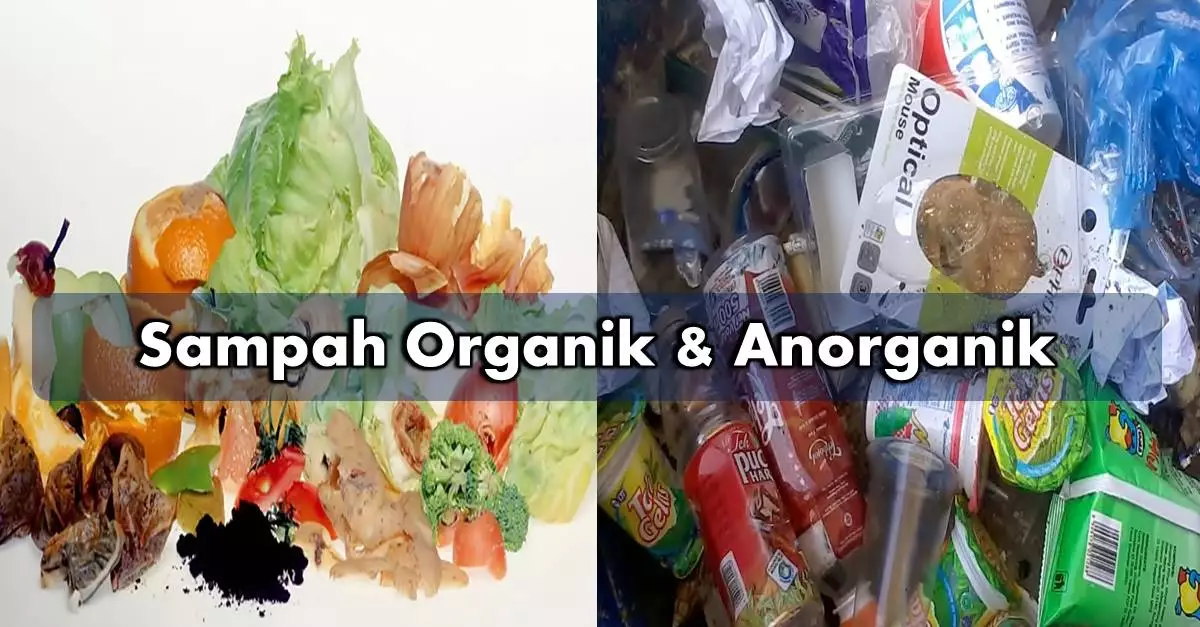 Contoh sampah organik dan non-organik