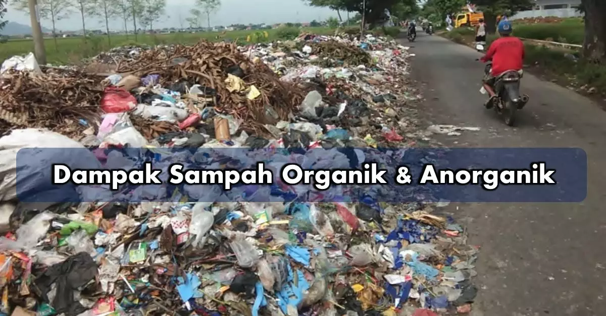 Dampak Mencampur Sampah Organik dan Anorganik