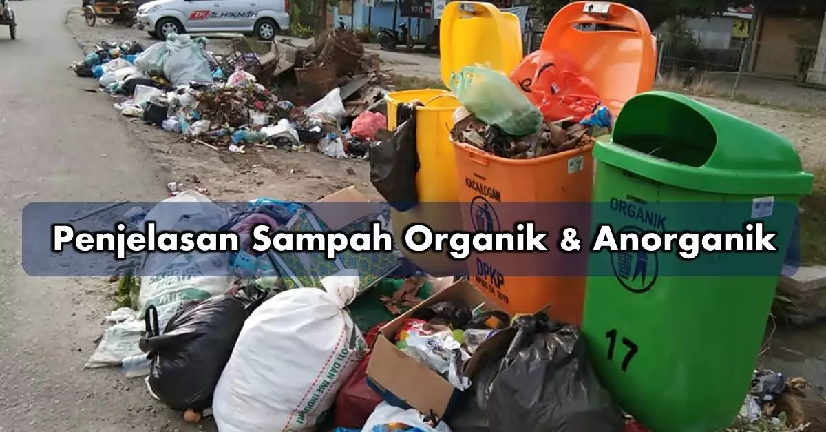 Penjelasan Sampah organik dan Anorganik
