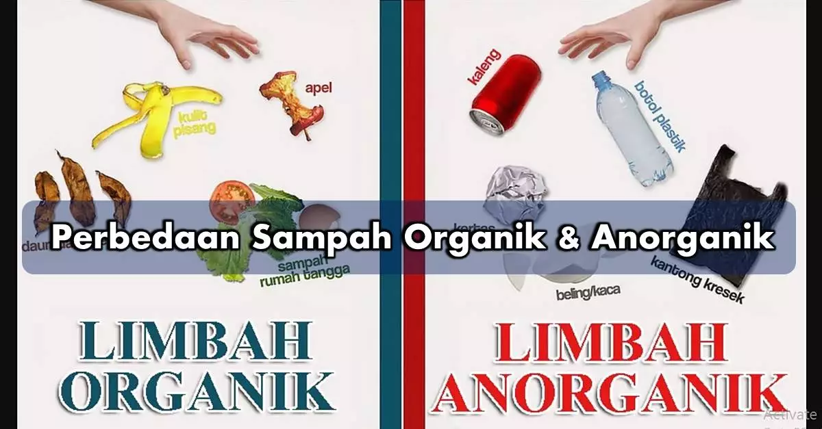 Perbedaan Sampah organik dan non-organik