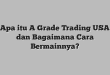 Apa itu A Grade Trading USA dan Bagaimana Cara Bermainnya?