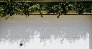 A closed white garage door adorned with lush green foliage casting shadows.