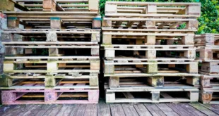 A pile of wooden pallets on a wooden deck surrounded by greenery, suitable for industry and recycling themes.