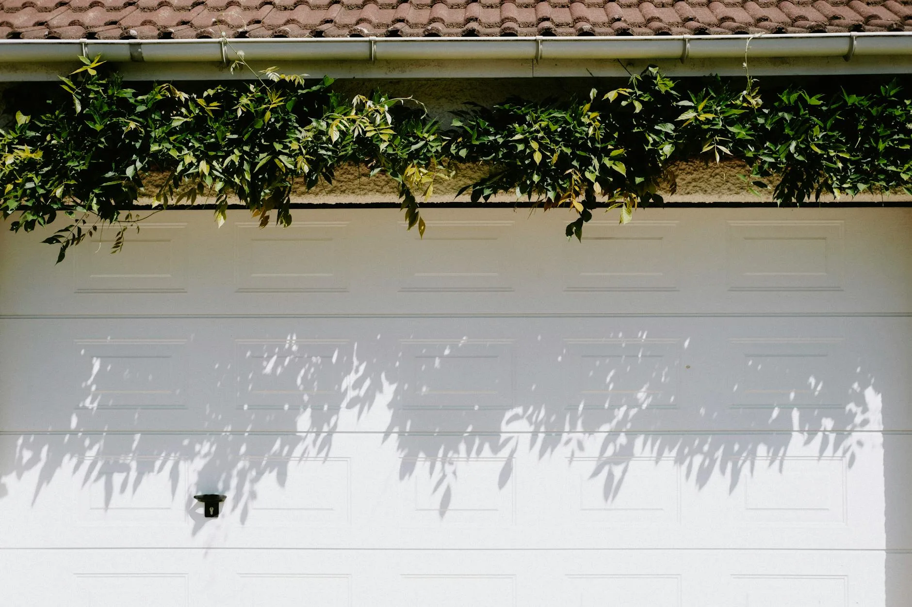 A closed white garage door adorned with lush green foliage casting shadows.